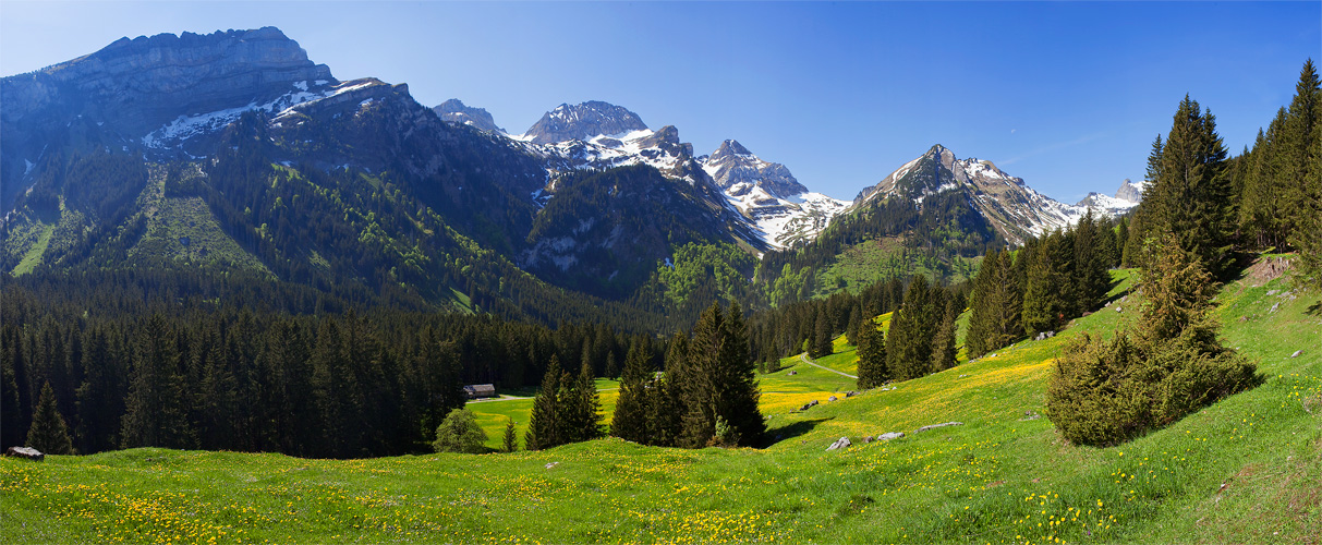 Voralp #21077