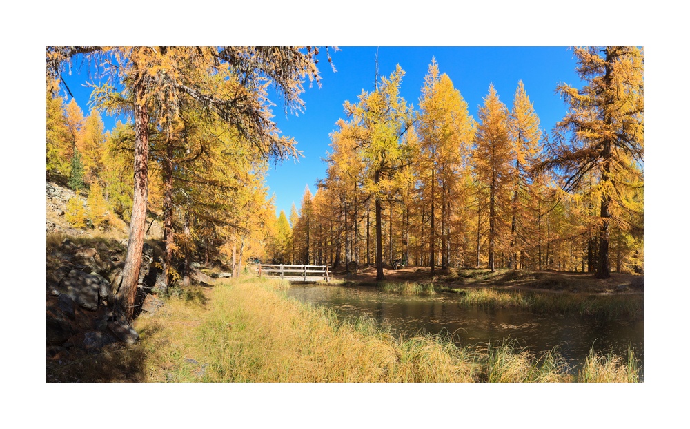 Melchboden Pano #35553