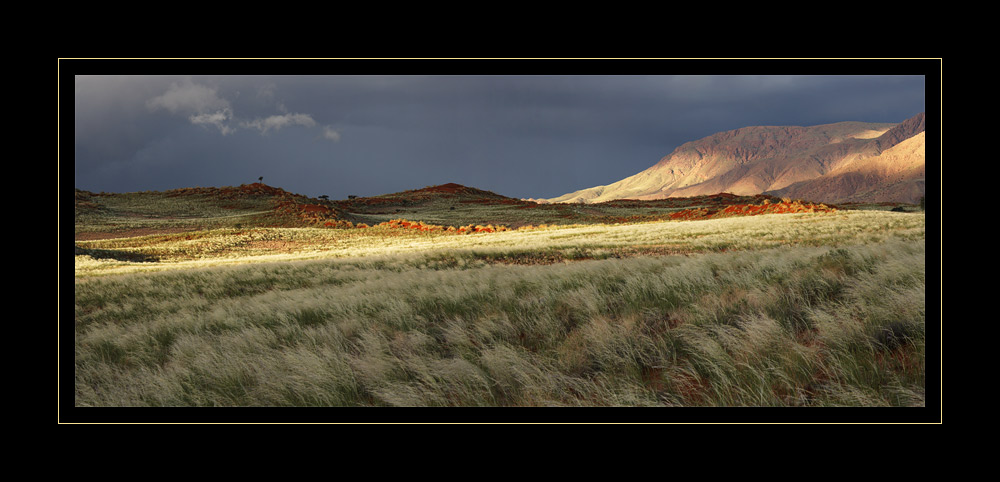 Wolwedans Pano #02