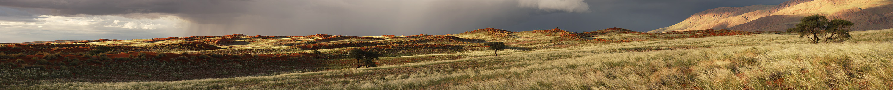Wolwedans Pano #03