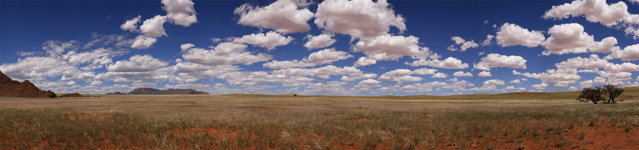 Wolwedans Pano #06
