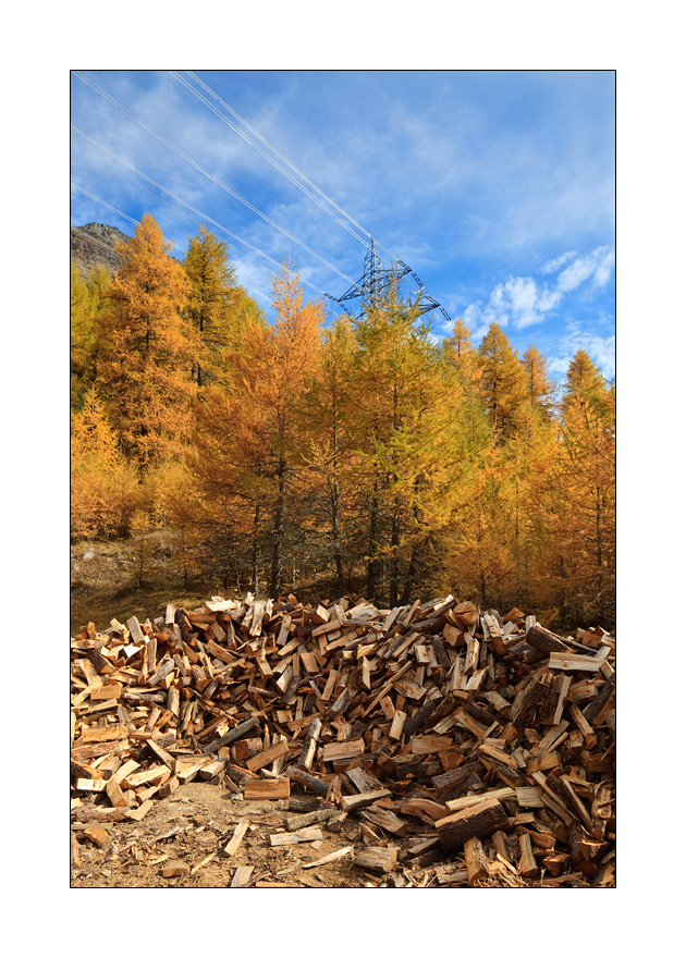 Strom und Holz #30910