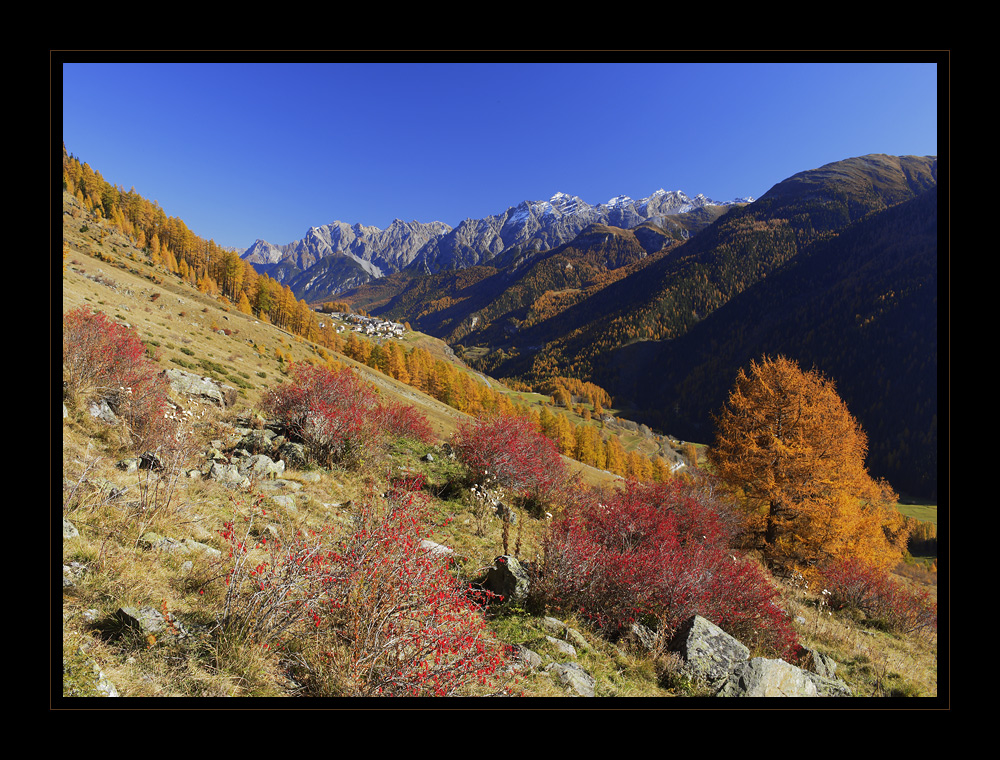 Guarda #16769