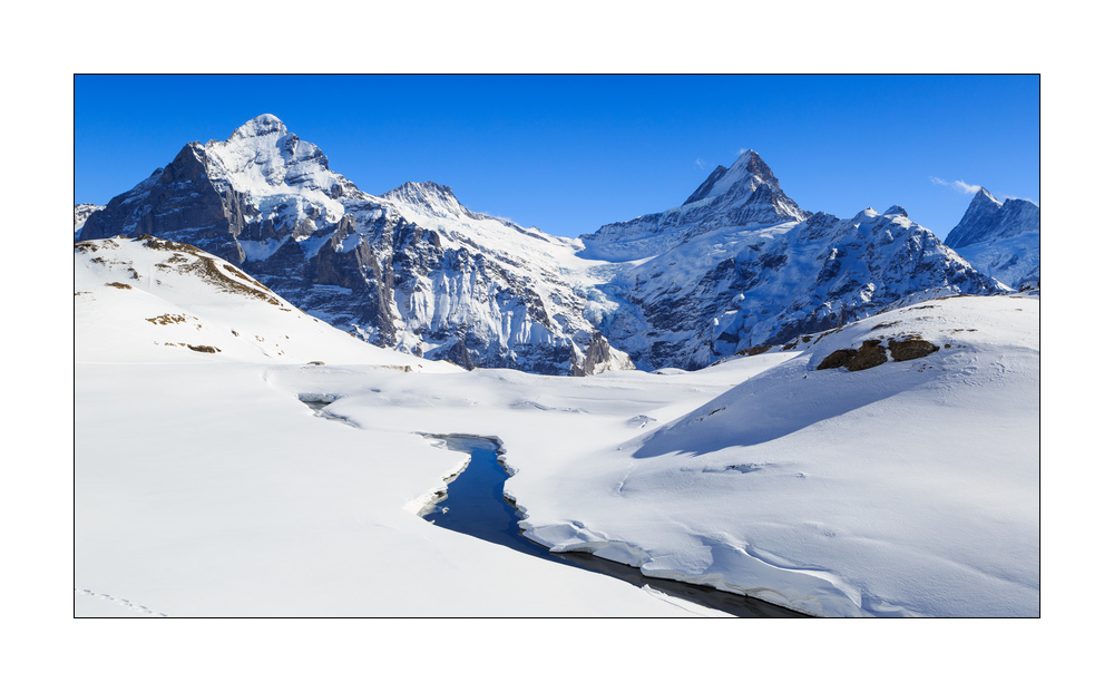 Wetterhorn Schreckhorn #332556