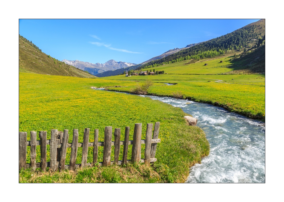 Frühling im Sertigtal #34211
