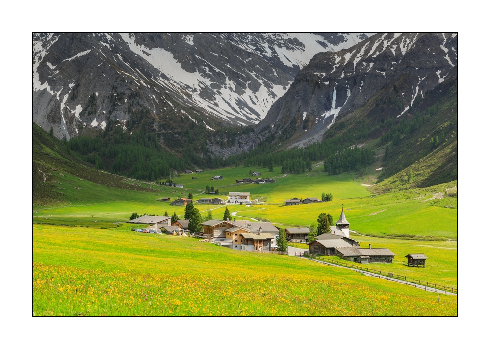 Frühling im Sertigtal #34355