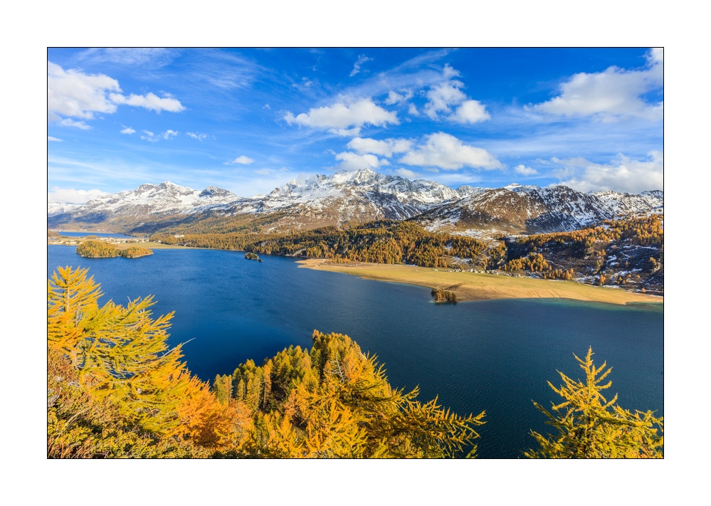 Herbst am Silsersee #34010