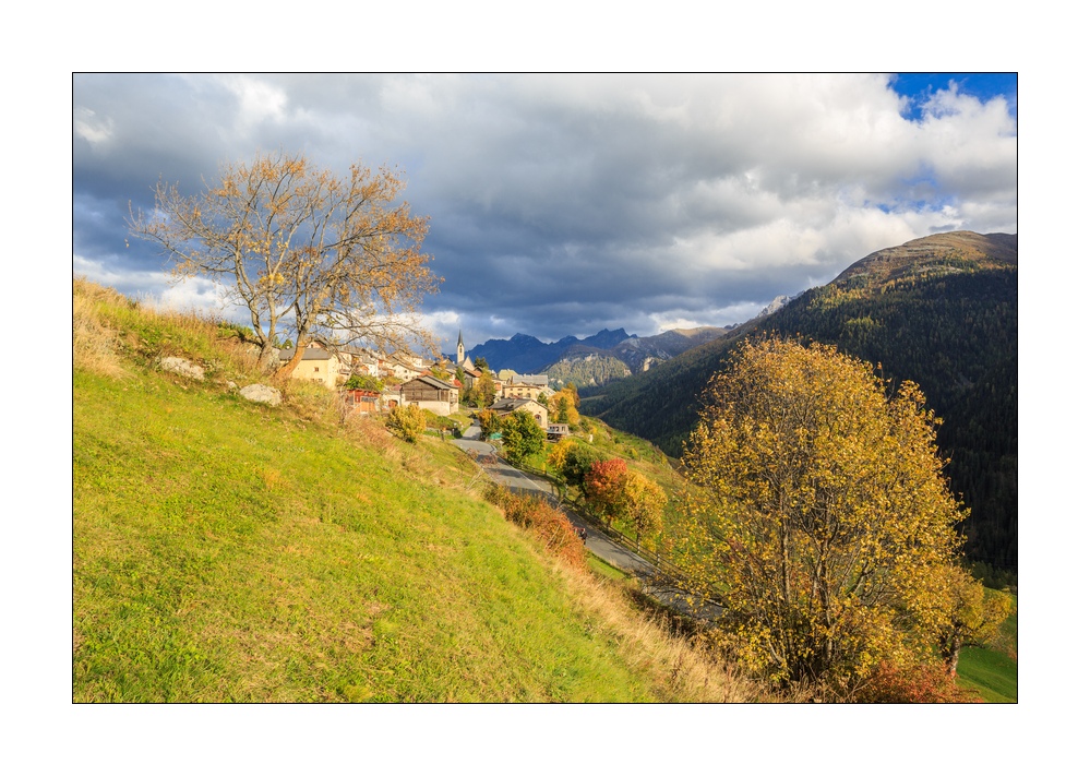 Guarda #36772