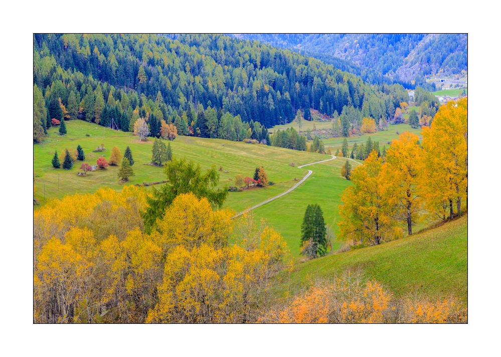 Herbst #37113