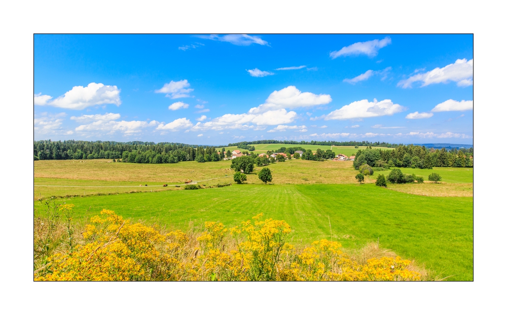 Montfaucon #35917