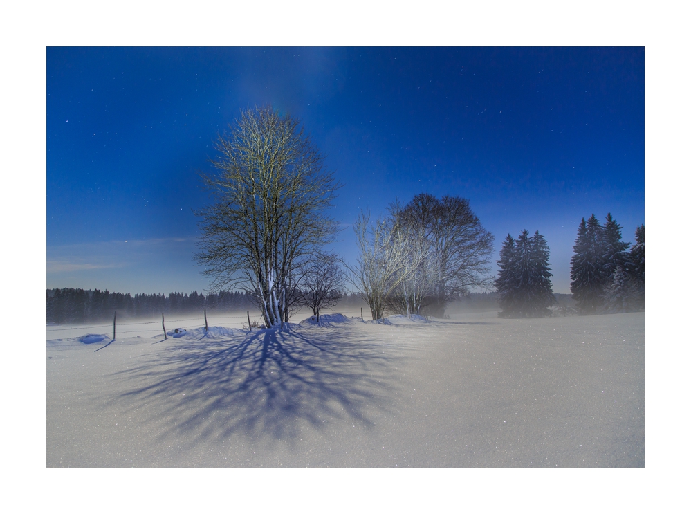 Winter im Jura #39429