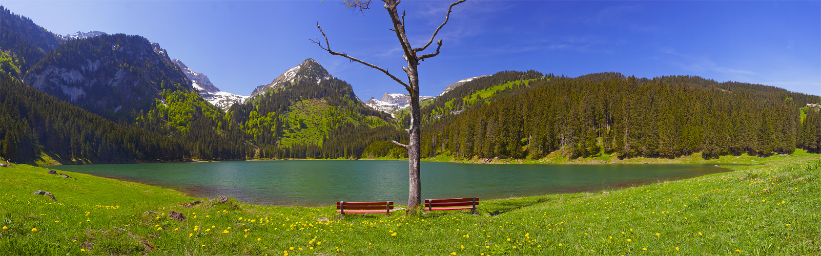 Voralpsee #21119
