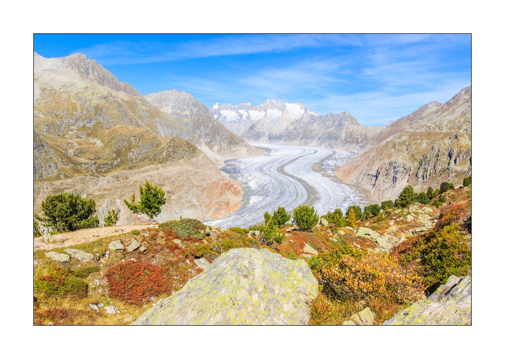 Aletschgletscher #36331