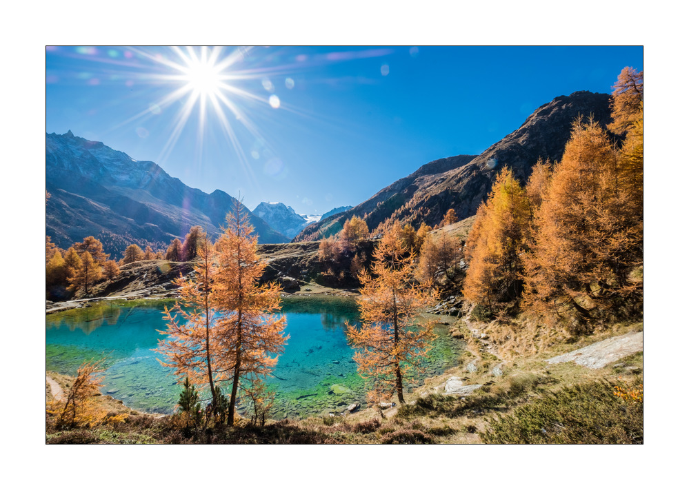 Lac Bleu #F01530