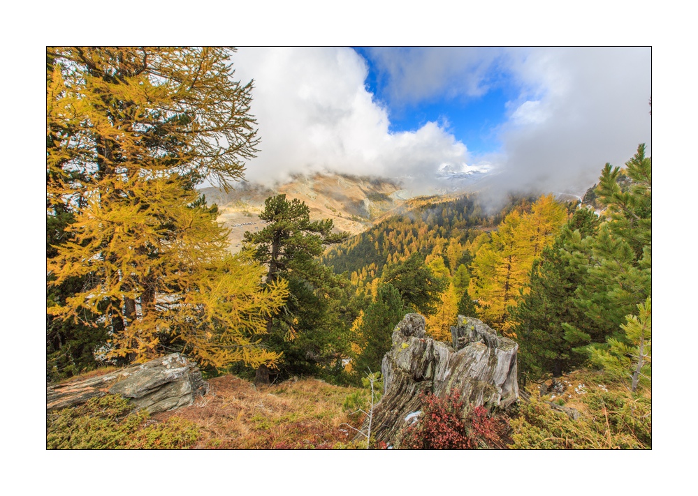 Herbst in Zermatt #5D301718