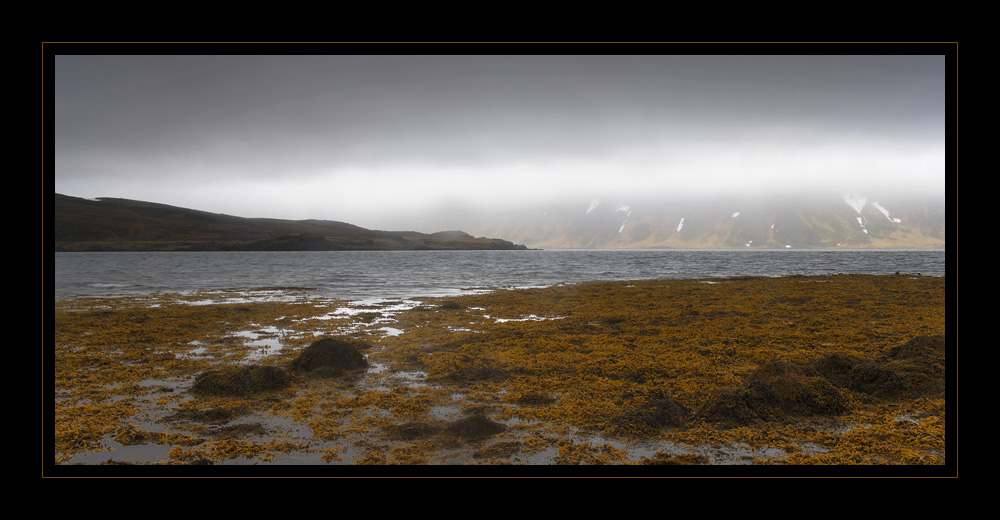 Westfjorde #14936
