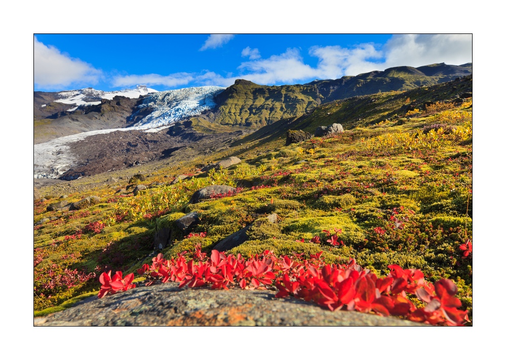 Island Herbstfarben #34381