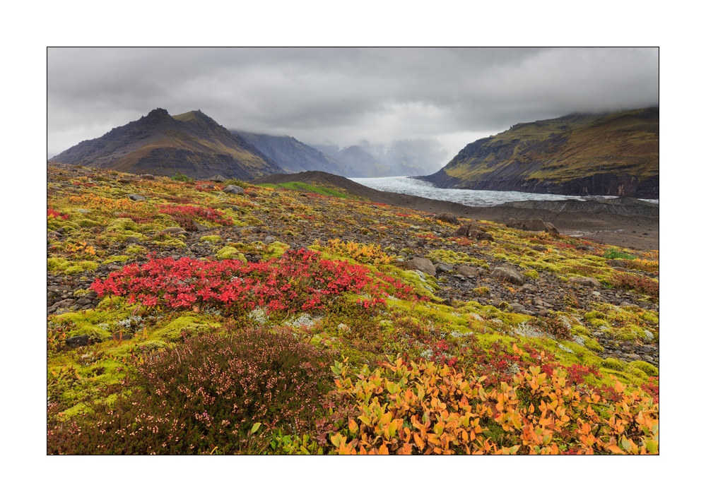 Herbstlandschaft #34088