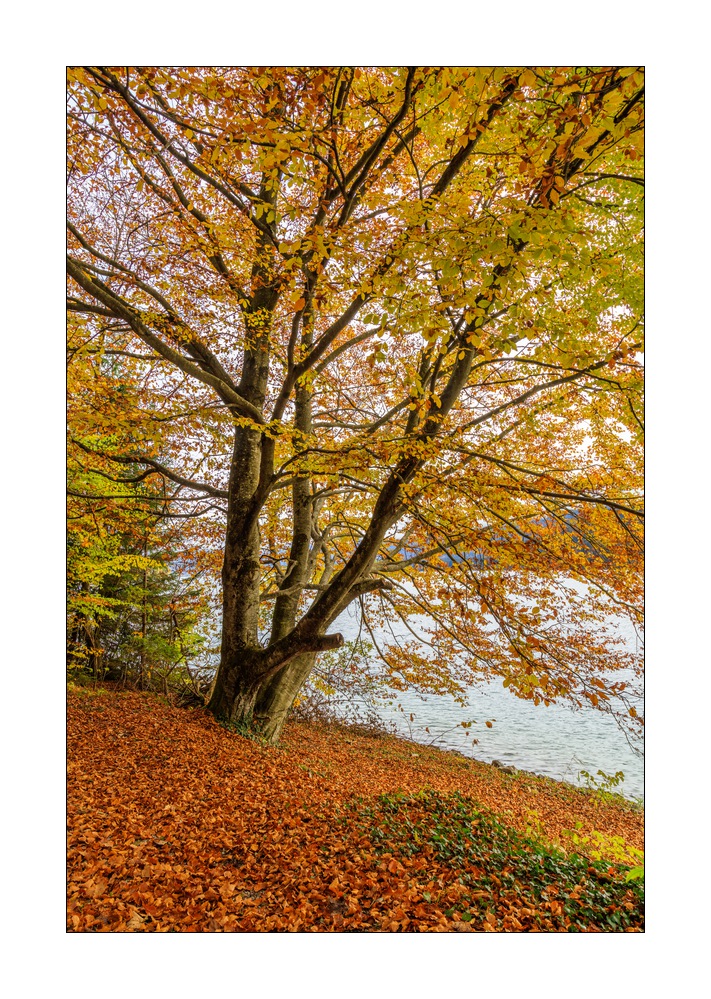 Walchensee #5ds03272