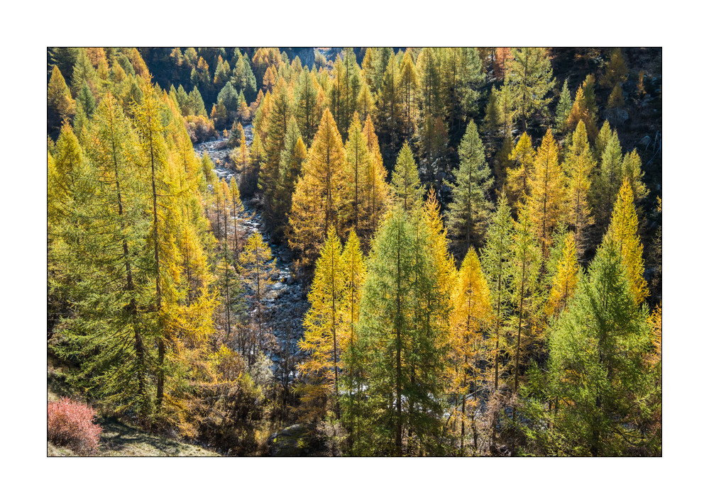 Val d'Herens #F01603