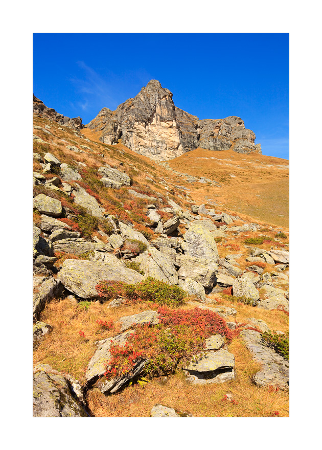Steinboden Wildmad #30330