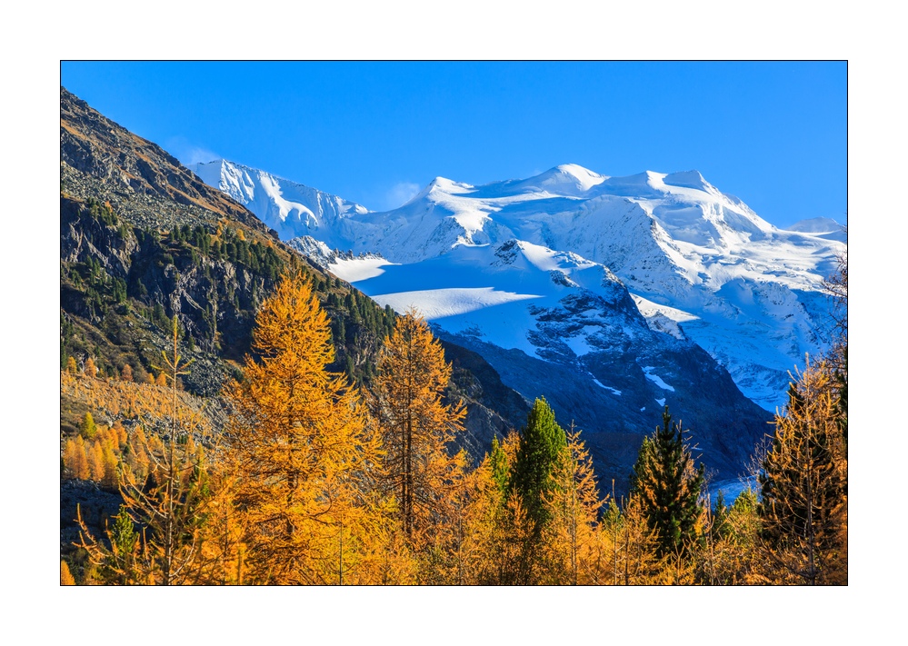 Morteratsch Gletscher #37467