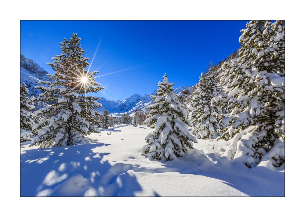 Morteratsch im Winter #338947