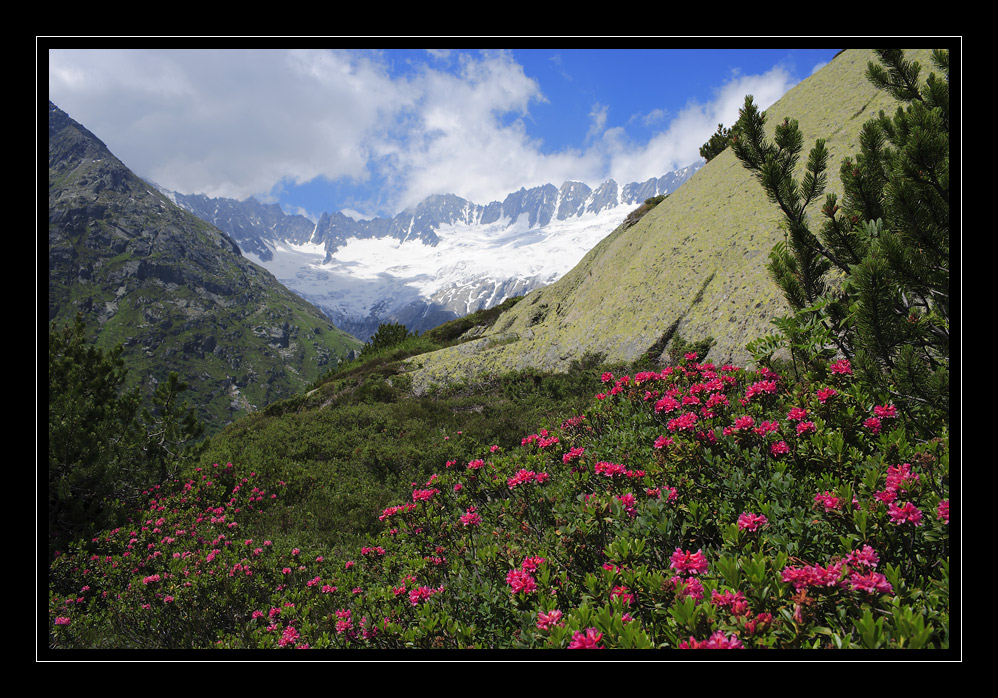 Goescheneralp #7871