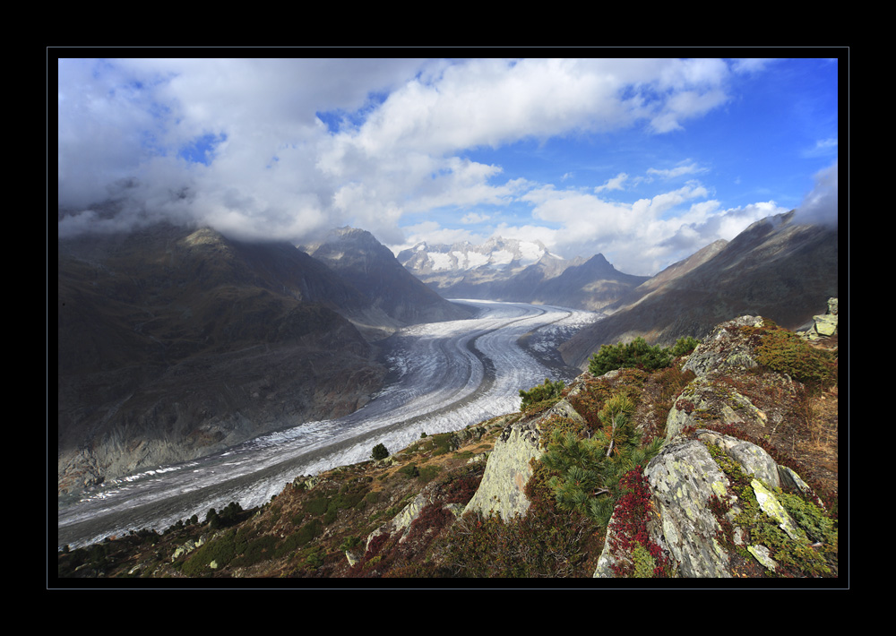Aletschgletscher #16472