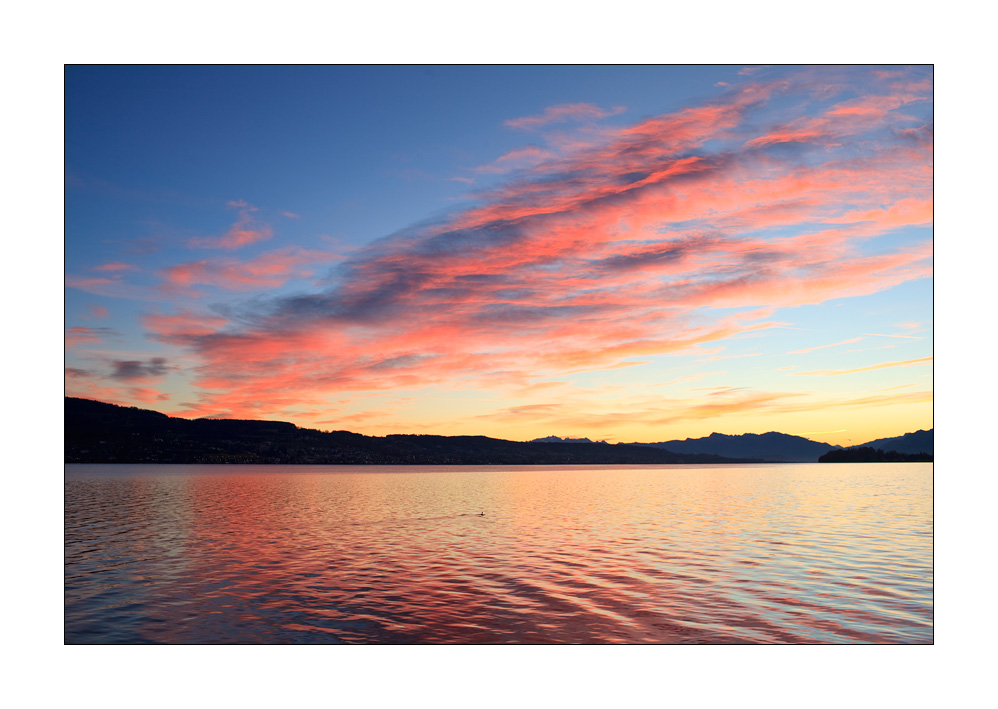 Zürichsee #31281