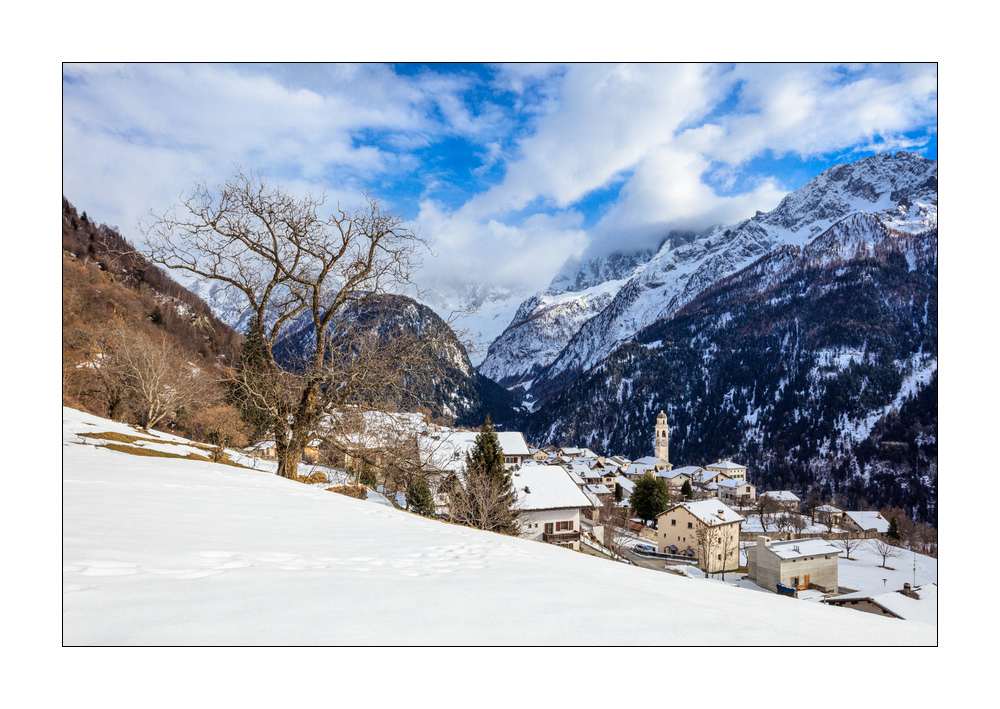 Soglio #5ds03543