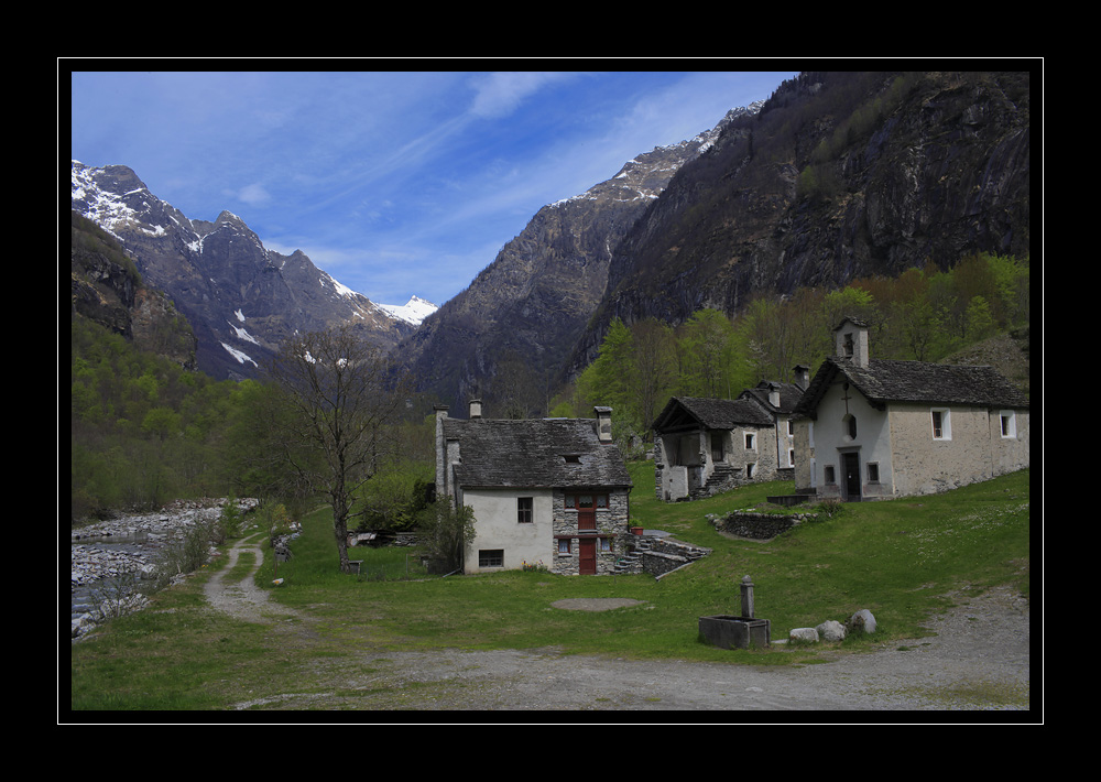 Bavonatal #14158