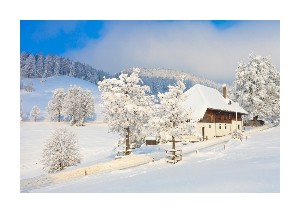 Winter im Eigental #25906