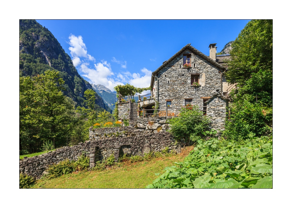 Steinhaus #33123