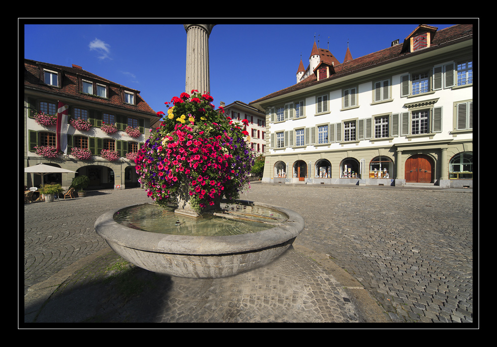 Thun #9163