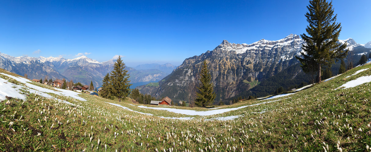 Eggberge Pano #31897