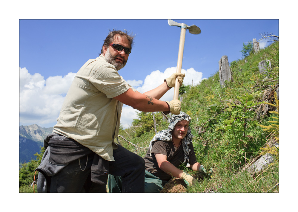 Bergwaldprojekt Fichten pflanzen #32501