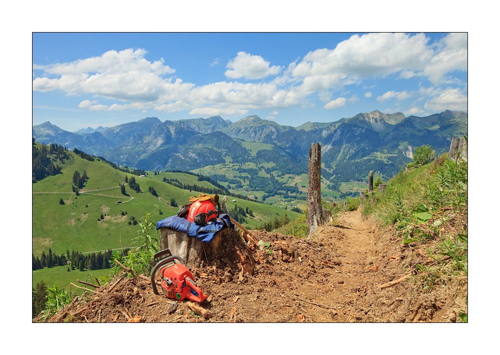 Bergwaldprojekt Waldweg bauen #32514