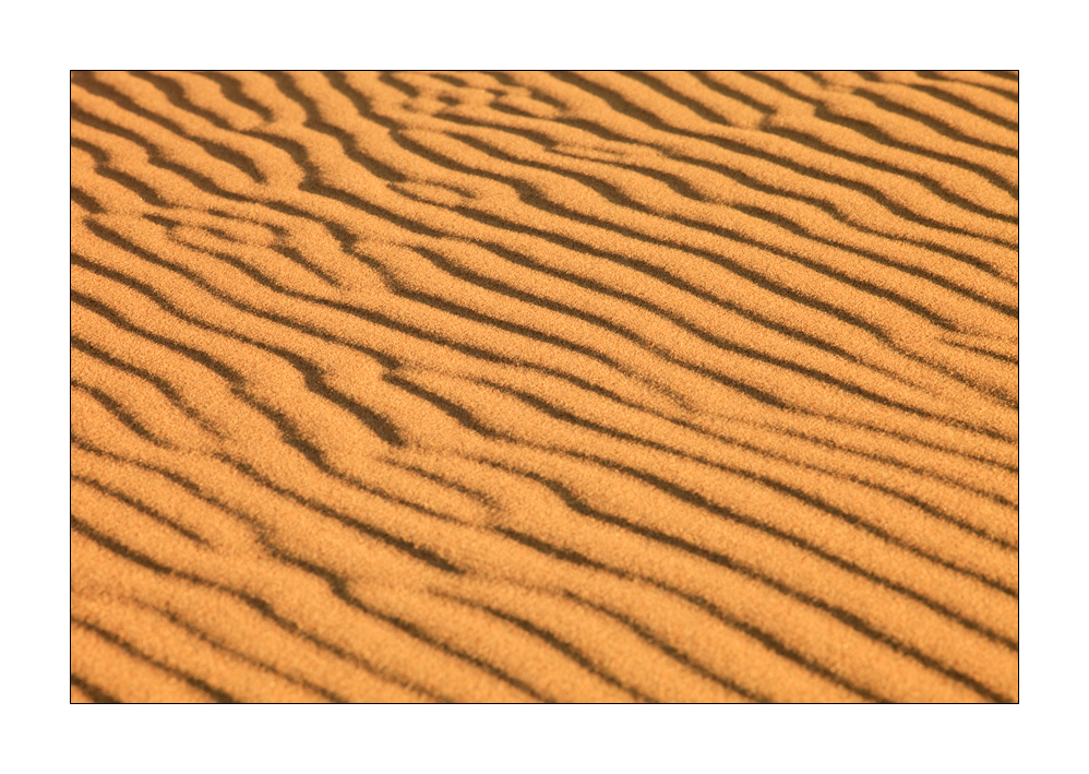 Sandspuren #27648