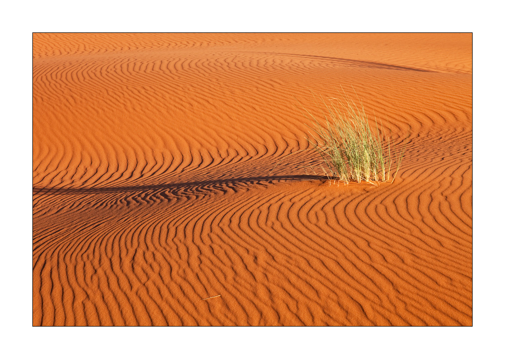 Sandspuren #27911
