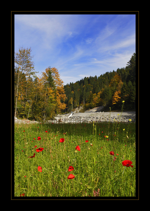 Diemtigtal #16146