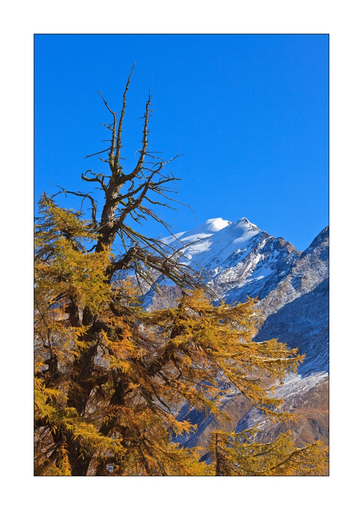 Herbst in den Bergen #35289