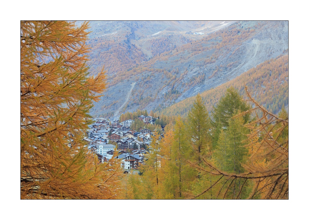 Saas-Fee #35142