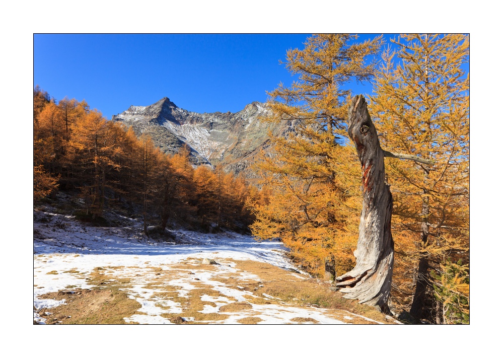Herbst im Furggtal #35452