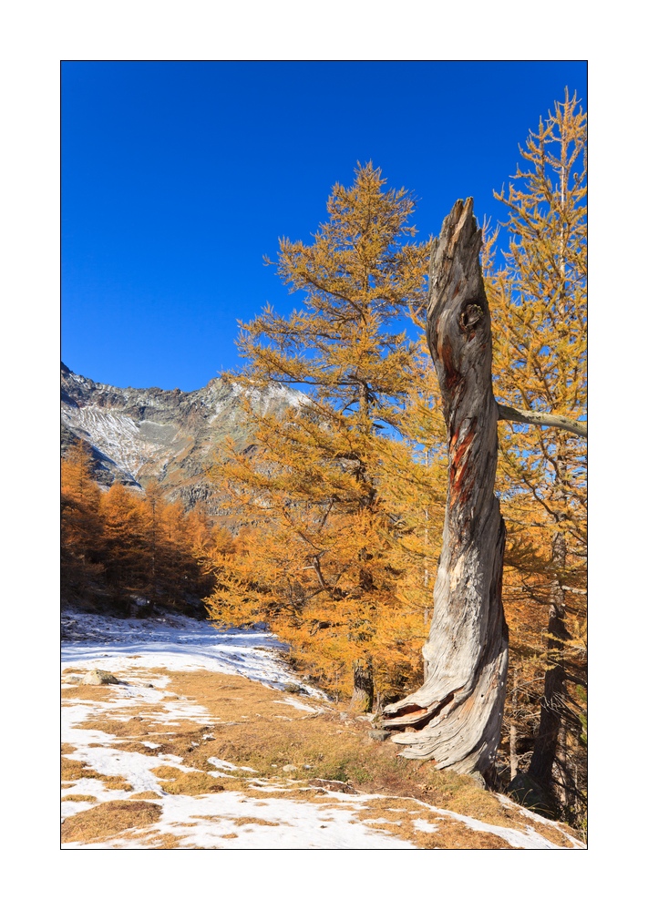 Herbst im Furggtal #35454