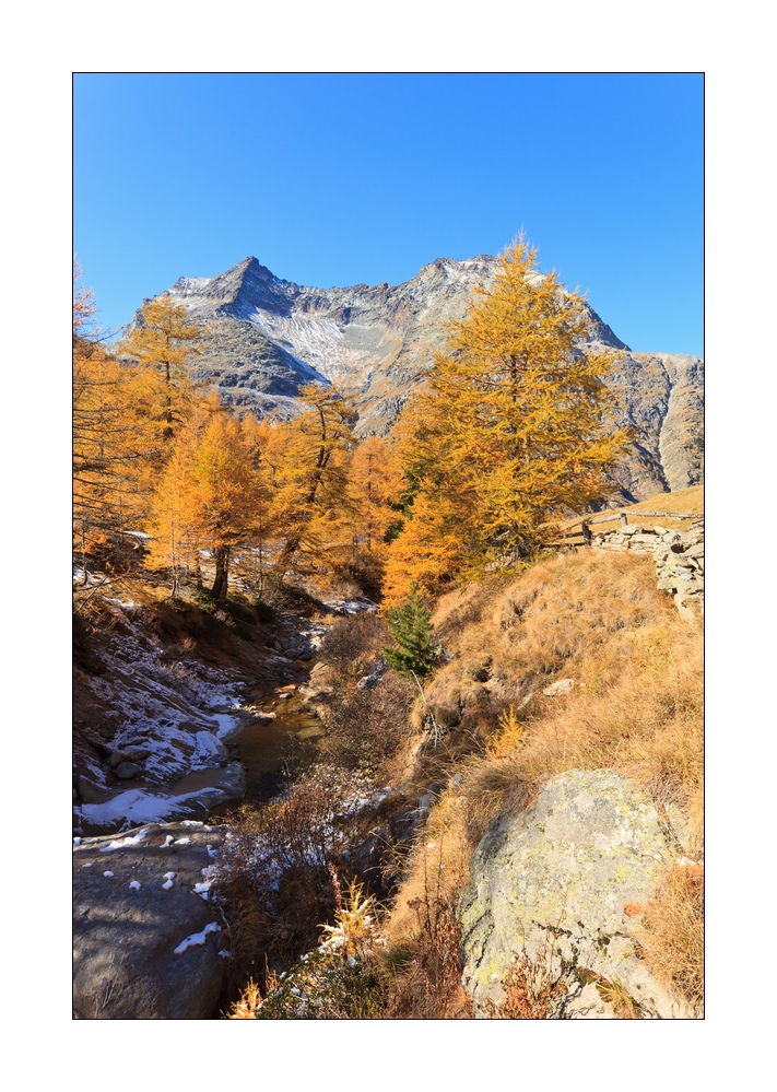 Herbst im Furggtal #35477