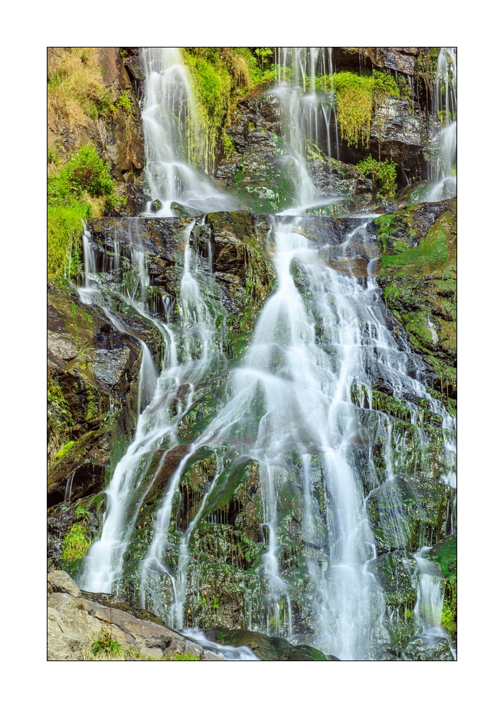 Todtnauer Wasserfälle #5ds02825