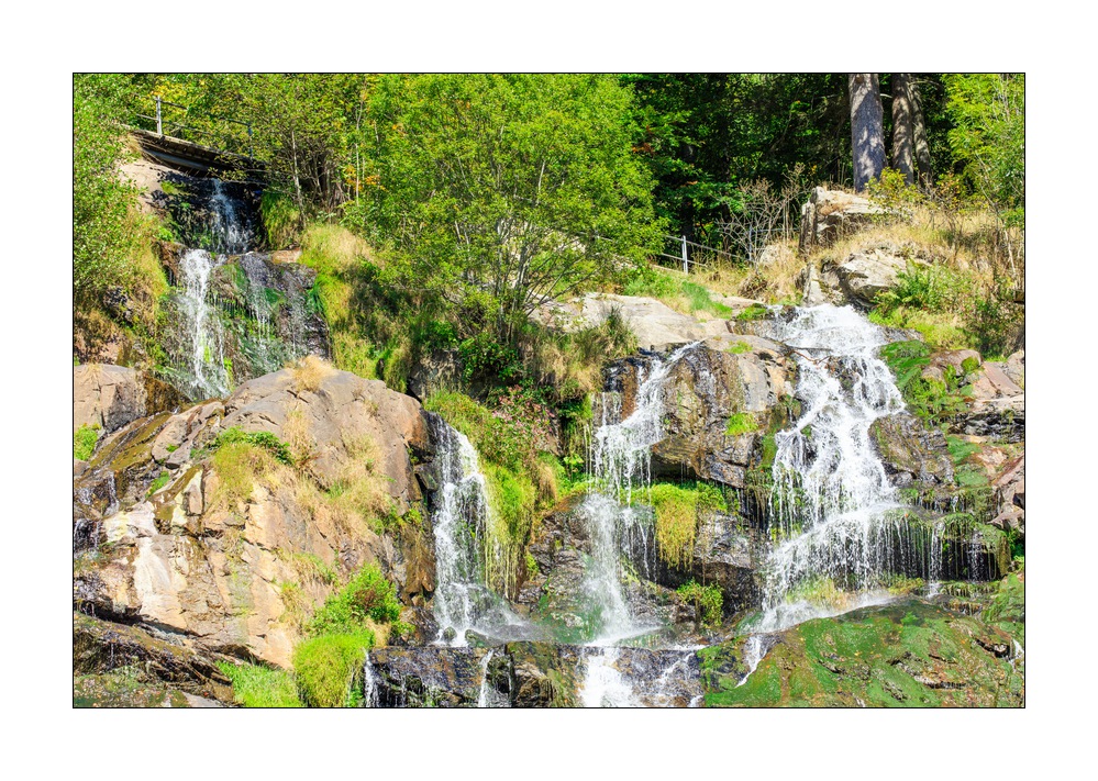 Todtnauer Wasserfälle #5ds02830