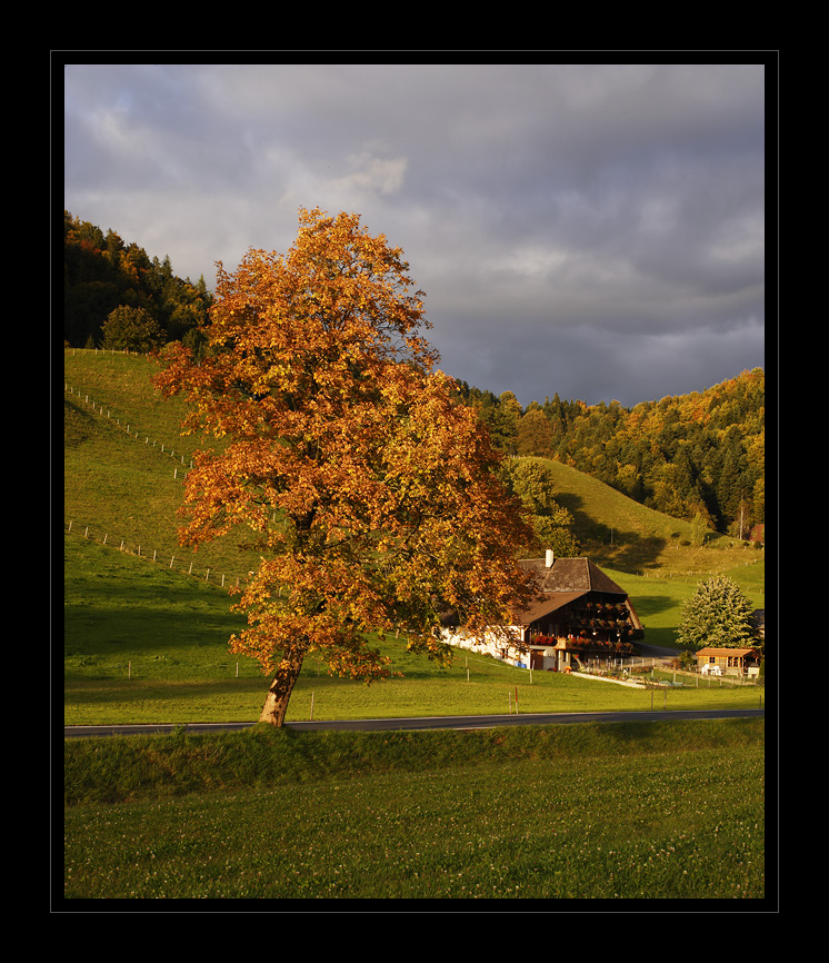 Rueti bei Riggisberg #16049