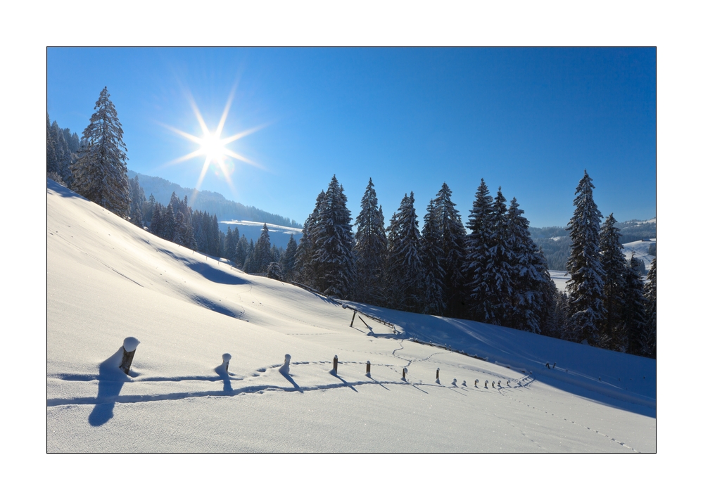 Winter bei Oberiberg #25866